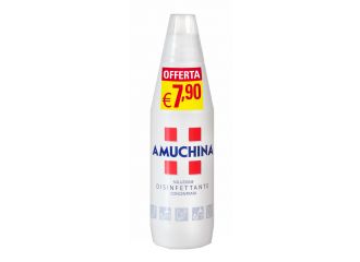 Amuchina 100% concentrata 1 litro promo