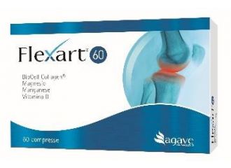 Flexart 60 60cpr