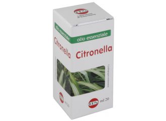 Citronella olio essenziale 20 ml