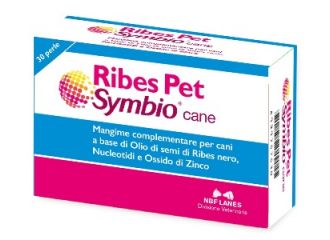 Ribes pet symbio cane 30 perle