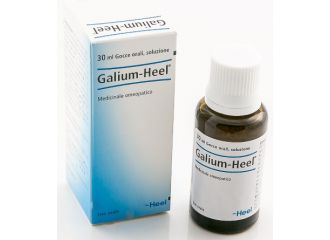 Galium 30ml gtt heel