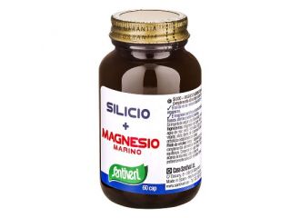 Silicio+magn.marino 60 cps stv