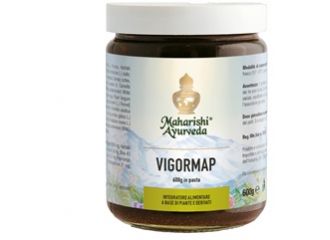 Vigormap pasta 600g