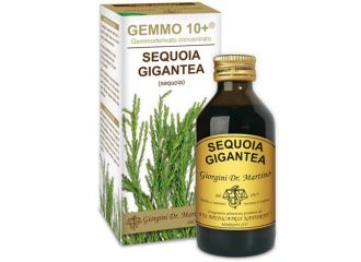 Sequoia 100ml analco gemmo 10+