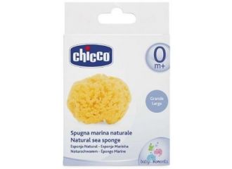 Chicco spugna marina grande