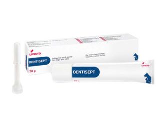 Dentisept pasta Dentifricio 20g