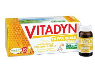 Vitadyn pappa reale 10fl.10ml