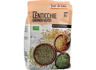 Fdl lenticchie verdi bio 400g