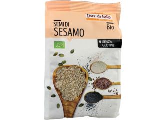 Fdl semi sesamo bio 250g