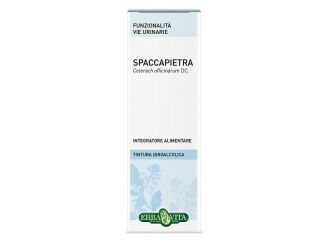 Spaccapietra tintura idroalcolica 50 ml ebv