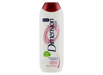 Dimension Shampoo Secchi 250 ml