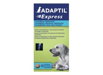 Adaptil compresse 10t