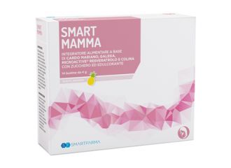 Smartmamma 14 bust.