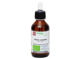 Rosa canina macerato glicerinato bio 100 ml