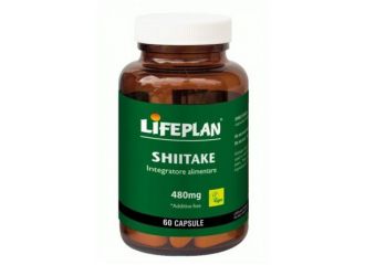 Shiitake 60cps lifeplan