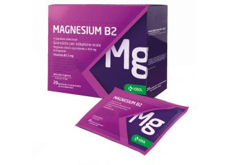 Magnesium b2 300/2mg 20bust