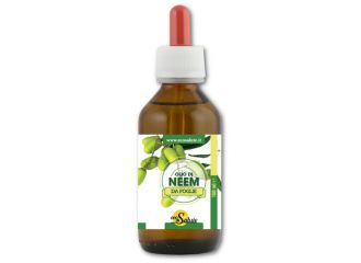 Neem olio 100ml foglie