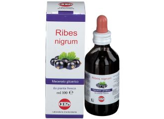 Kos Ribes Nigrum Macerato Glicerico Gocce 100 ml