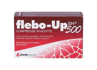 Flebo-Up Sh 500 30 Compresse