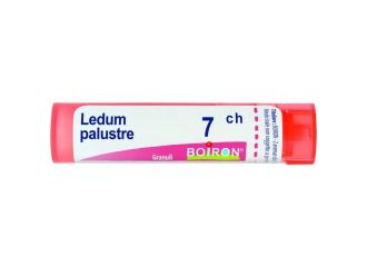 Boiron Ledum Palustre Granuli 7Ch 80 Granuli