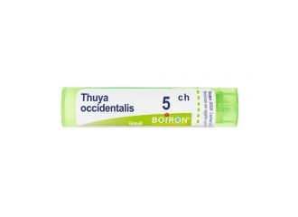 Boiron Thuya Occidentalis Granuli 5Ch Tubo 4g