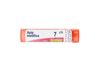 Apis mellifica 7ch gr bo