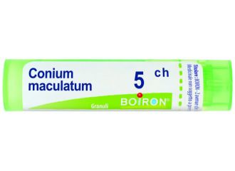 Conium maculatu 5ch gr bo