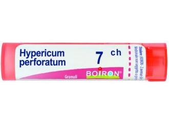 Hypericum perfor 7ch gr