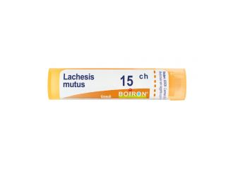 Lachesis mutus 15ch gr bo