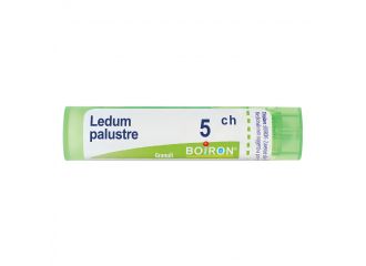 Boiron Ledum Palustre Medicinale Omeopatico 5CH 80 Granuli