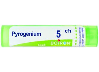 Pyrogenium 5ch gr bo