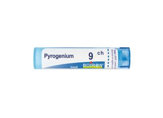 Pyrogenium 9ch gr bo