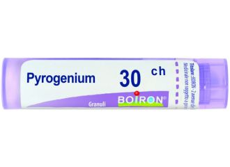 Pyrogenium 30ch gr bo