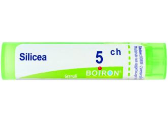 Silicea 5ch gr bo