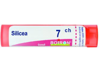 Silicea 7ch gr bo