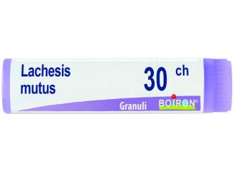 Lachesis mutus 30ch gl bo