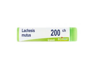 Lachesis mutus 200ch gl bo