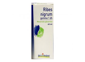 Ribes nigrum gemme 60ml mg bo