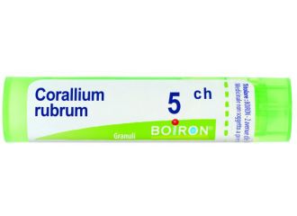 Corallium rubrum 5ch gr