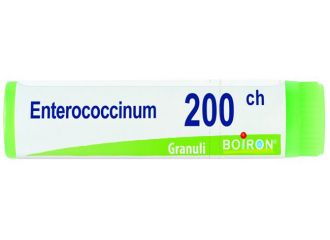 Enterococcinum 200ch gl bo