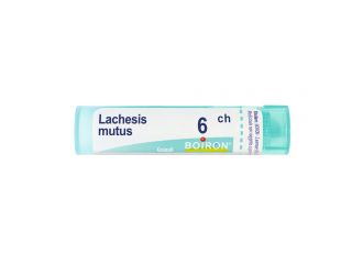 Lachesis mutus 6ch gr