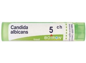 Candida albican 5ch gr bo