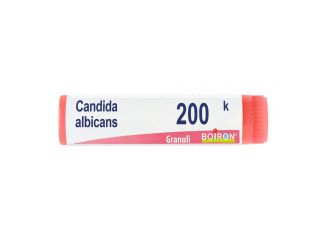 Candida albicans 200k gl  bo