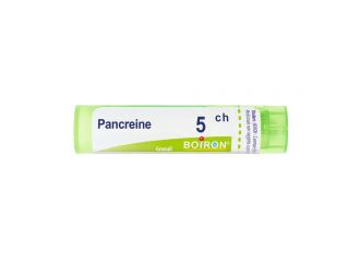 Pancreas 5ch gr