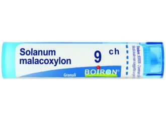 Solanum malacoxilon 9ch gr