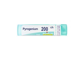 Pyrogenium 200ch gr