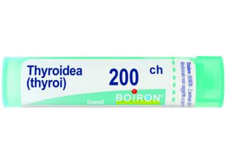 Thyroidinum 200ch gr