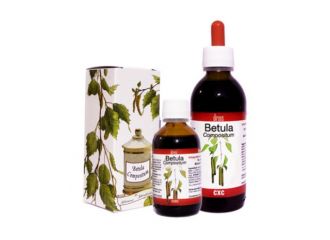 Betula compositum 50 ml