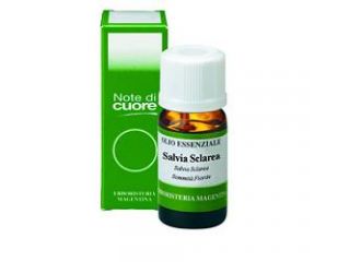 Salvia off.olio ess.10ml   erm