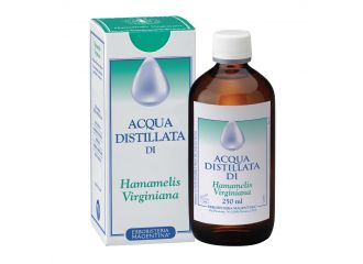 Hamamelis acqua dist.250ml erm